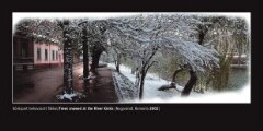 eif_000005/0028