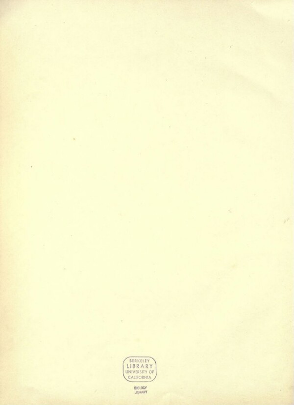 knv_000001/0045