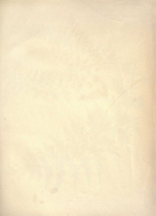 knv_000001/0050