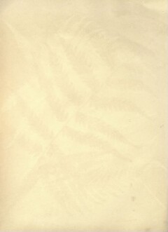 knv_000001/0059