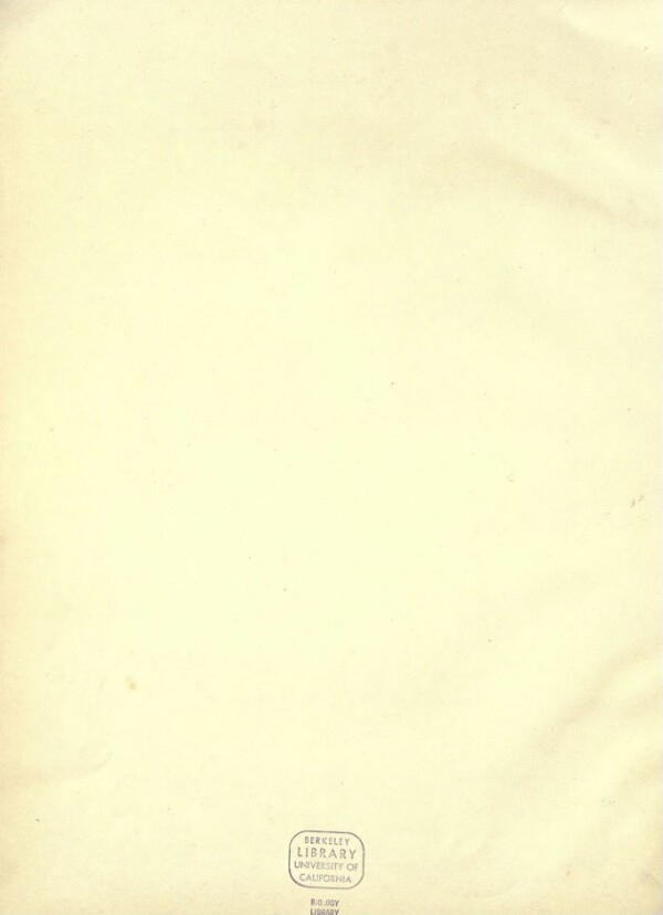 knv_000001/0073