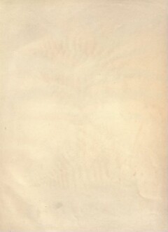 knv_000001/0074
