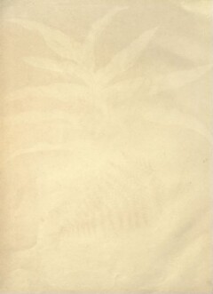 knv_000001/0075