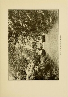 knv_000013/0055