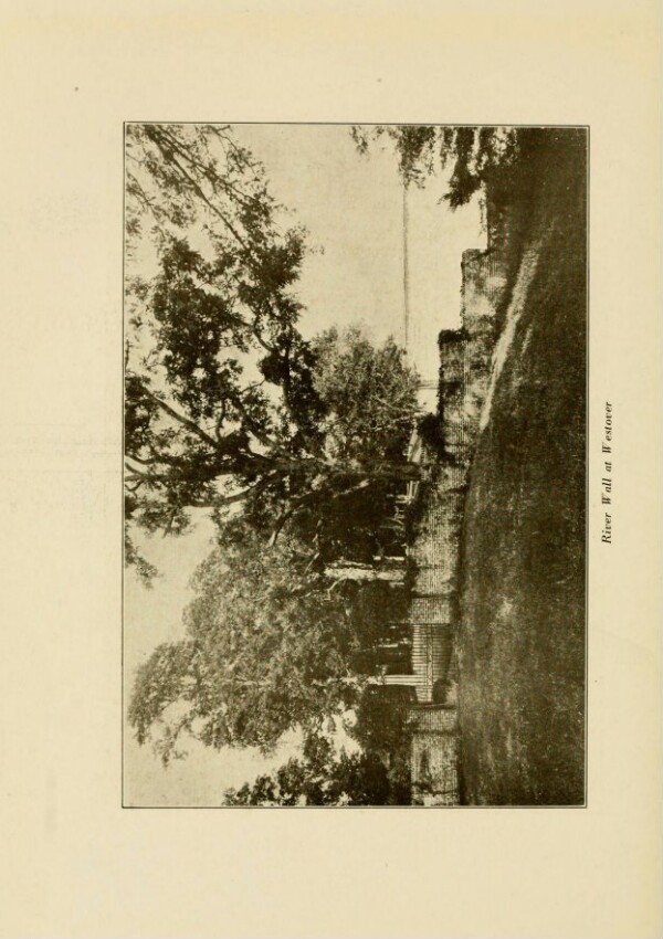 knv_000013/0080