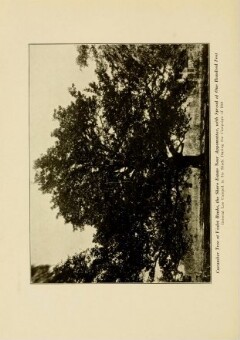 knv_000013/0094