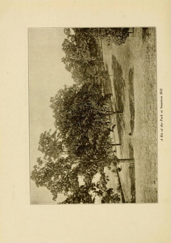 knv_000013/0500
