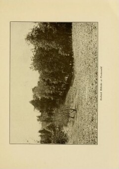 knv_000013/0507