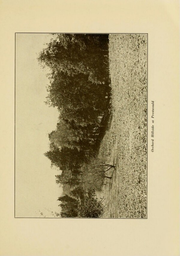knv_000013/0507