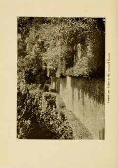 knv_000013/0564