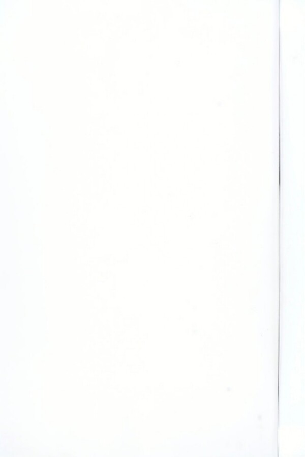 knv_000017/0251