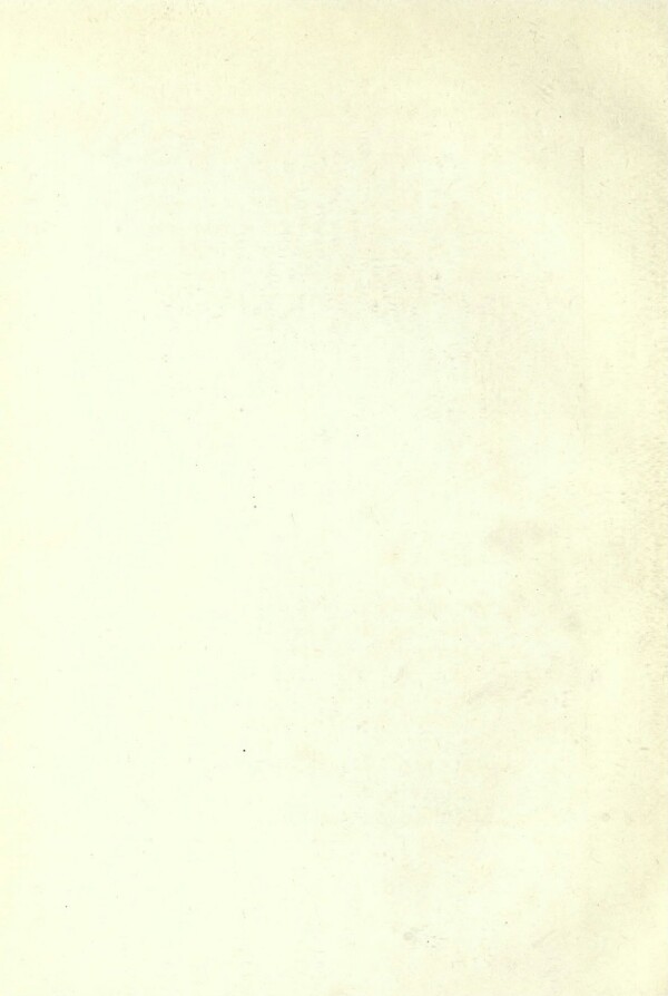 knv_000018/0113