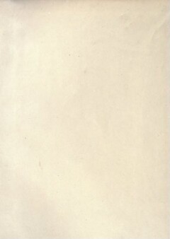 knv_000020/0246
