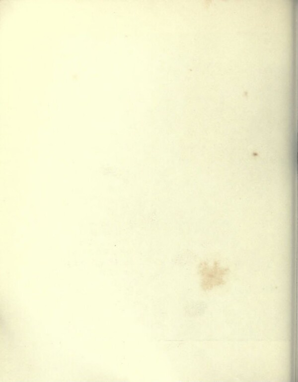 knv_000021/0085