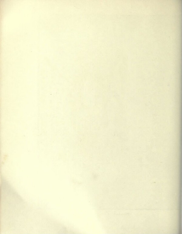 knv_000021/0113