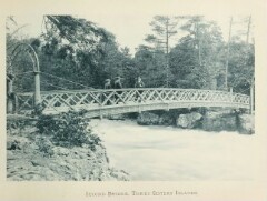 knv_000029/0058