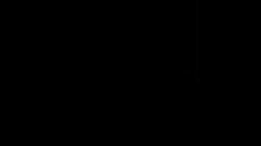 srb_000004/0009